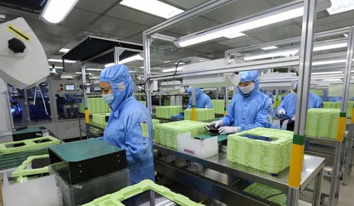 東莞封裝廠斷供，荷蘭急求合作解禁